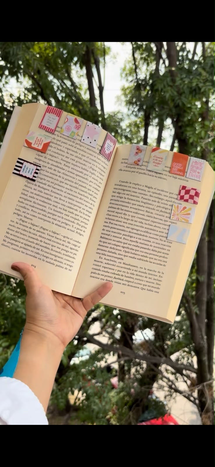 Separador de Libros